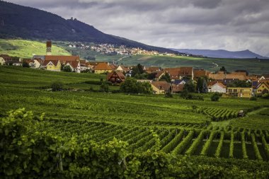 Rouffach küçük kasaba Vosges dağ Fransa aşağıda Vadisi'nde Alsace'deki / daki çevrili üzüm bağları