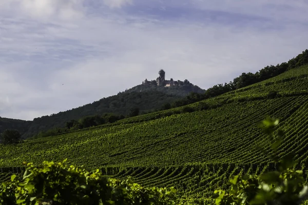 Pintoresca Región Alsacia Francia Con Sus Famosos Viñedos Las Laderas —  Fotos de Stock