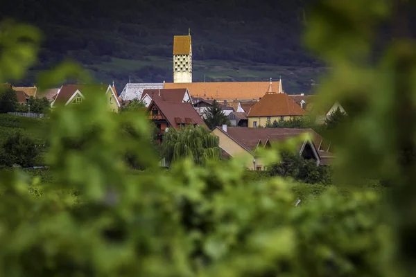 Rouffach küçük kasaba Vosges dağ Fransa aşağıda Vadisi'nde Alsace'deki / daki çevrili üzüm bağları