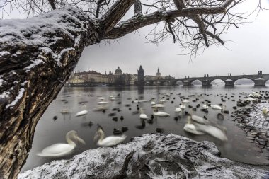 Prag, Çek Cumhuriyeti 'nde Charles Köprüsü altında Vltava Nehri 'nde kış gecesi