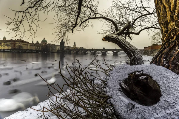 Зимний Вечер Реке Влтаве Карловым Мостом Праге Чехия — стоковое фото