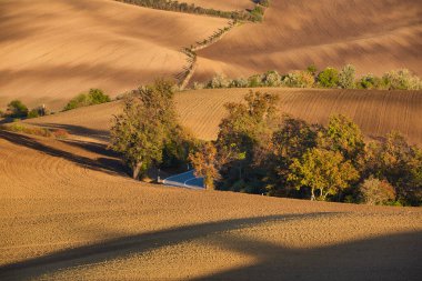 Kırsalda sonbahar ışığı ve gölge