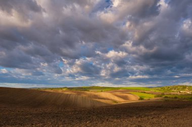 Bulutlu sonbahar alanı