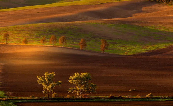 Осенний рассвет в полях — стоковое фото