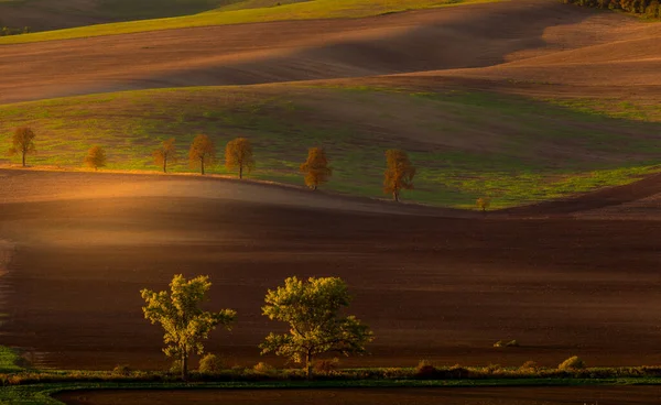 Otoño amanecer en los campos —  Fotos de Stock