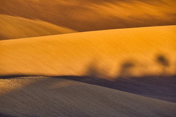 Autumn light and shadow in countryside