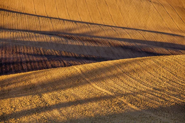 Luz de outono e sombra no campo — Fotografia de Stock