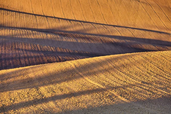 Осенний свет и тень в сельской местности — стоковое фото