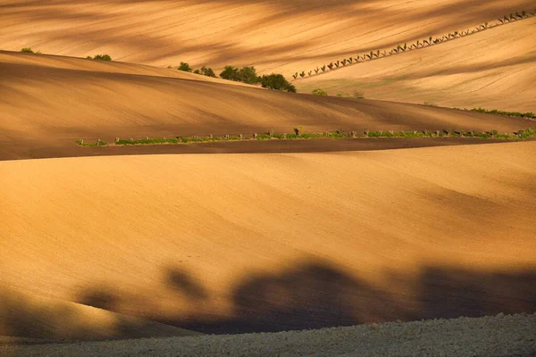 Autumn light and shadow in countryside