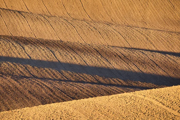 Luz de outono e sombra no campo — Fotografia de Stock