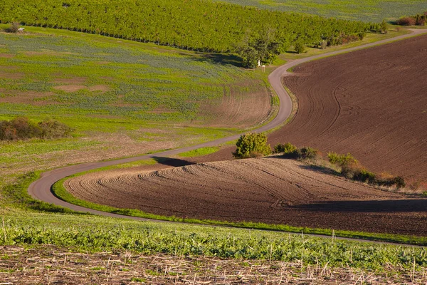 畑の間に曲がりのある道 — ストック写真