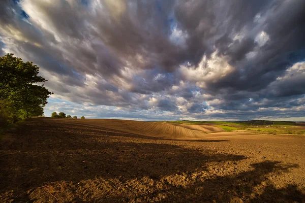 Autumn field with clouds — Stock Photo, Image