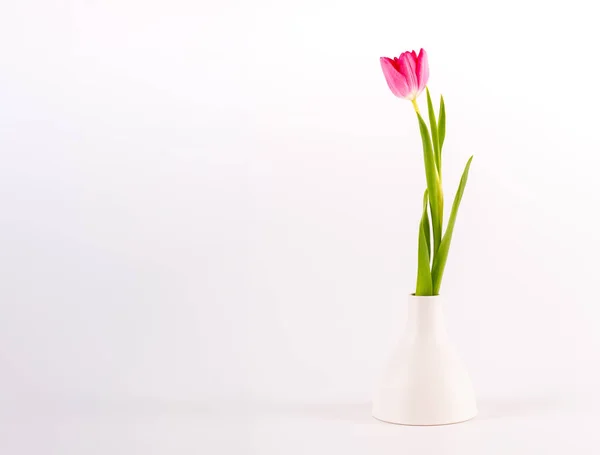 Tulips in minimalistic vase — Stock Photo, Image
