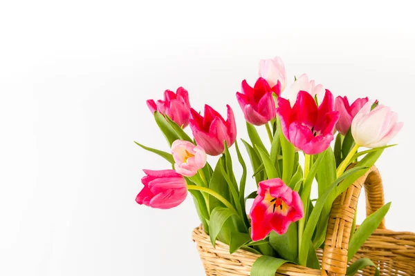 BOuquet de tulipes printanières fraîches — Photo