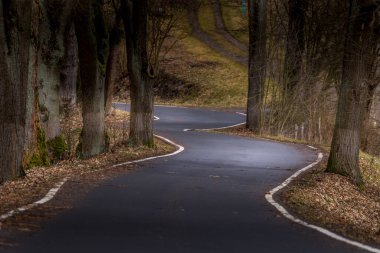 Ormanda kıvrımlı dar asfalt yol