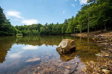 Umbra Ormanı 'nda küçük bir göl, Gargano Ulusal Parkı' nın doğal rezerv parçası ve UNESCO Dünya Mirası Apulia, İtalya