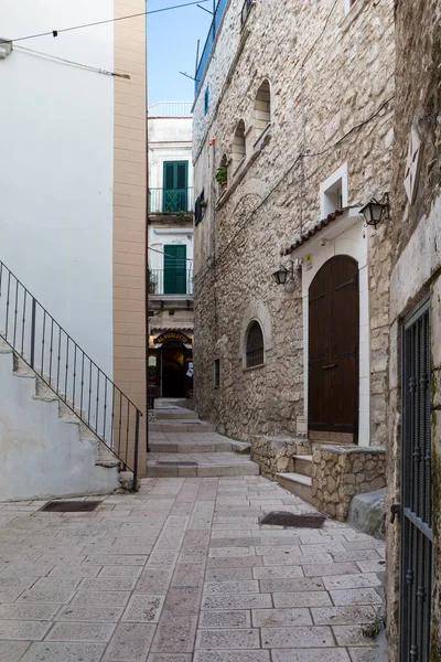 Bella Pittoresca Città Vecchia Pescatori Vieste Penisola Del Gargano Regione — Foto Stock