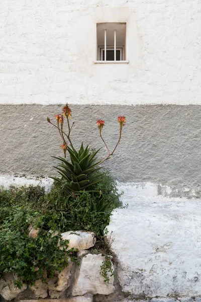 아름다운 그림같은 비에스 아풀리아 — 스톡 사진