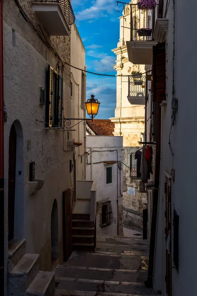 Beautiful Picturesque Old Fishing Town Vieste Gargano Peninsula Apulia Region — Stock Photo, Image