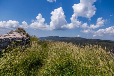 Monte Sant'Angelo'da manzara, Foggia eyaletinin antik köyü, Apulia (Puglia), İtalya.