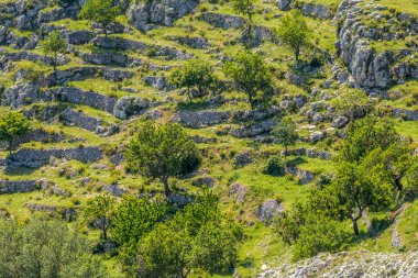 Gargano 'daki Rocky Meadows. Monte Sant 'Angelo' da manzara, İtalya 'nın Puglia eyaletinin Foggia iline bağlı antik bir köy..