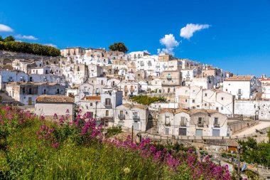 Monte Sant'Angelo'da manzara, Foggia eyaletinin antik köyü, Apulia (Puglia), İtalya.