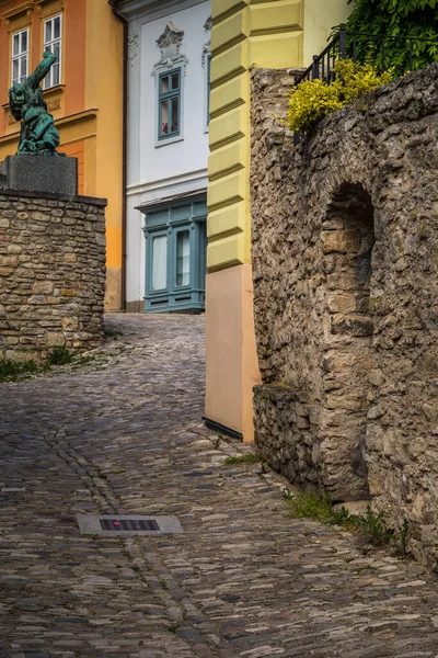 Історичні Будинки Вулиці Центрі Кутна Гора Чехії Європа Unesco World — стокове фото
