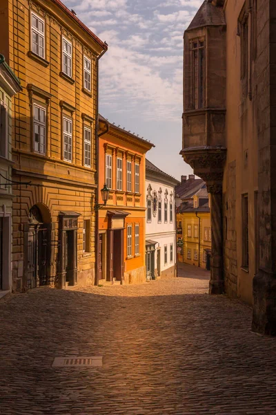 Zabytkowe Domy Ulice Centrum Kutnej Hory Czechach Europie Lista Światowego — Zdjęcie stockowe