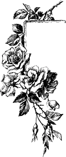 Virág Rózsa Fekete Fehér — Stock Vector