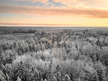 Kış orman havadan görünümü günbatımı arka plan üzerinde