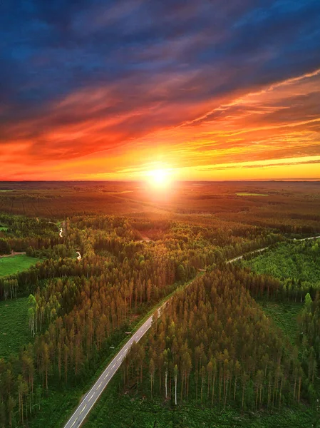 Aerial view of a rural road in a forest. — Stock Photo, Image