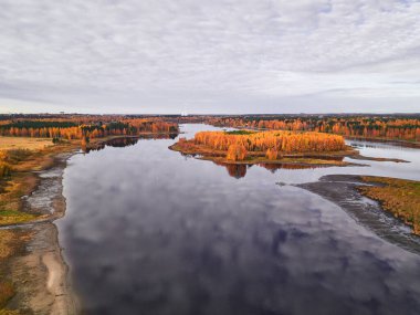 Nehrin havadan görünüşü ve sarı sonbahar ormanı. Sonbahar manzarası.