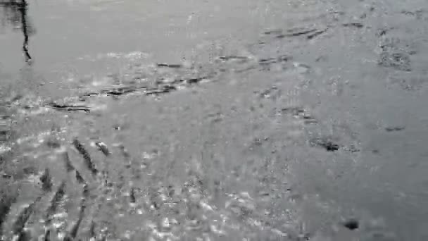 Nehirde Göl Suyunda Güneş Parlar Hızlı Nehir Akışı — Stok video