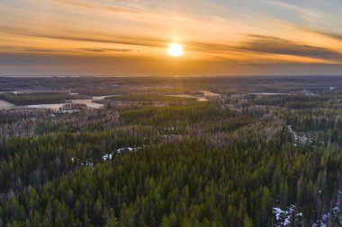 Finlandiya 'daki bahar ormanlarının havadan görünüşü. Kuzey Karelya doğası. Arkaplanda gün batımı.