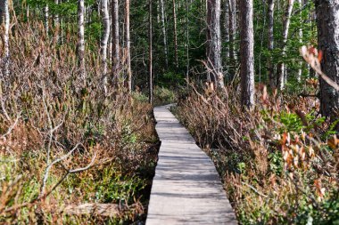 Kallio Gölü, Finlandiya 'da yürüyüş yolu.