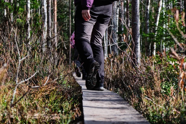 Sendero Lago Kallio Finlandia — Foto de Stock