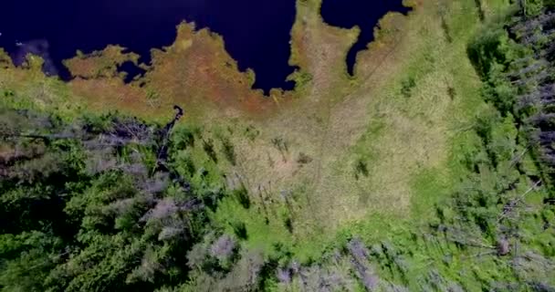 Vista Aérea Sobre Lago Dia Sol — Vídeo de Stock