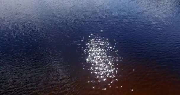 Nehirde Göl Suyunda Güneş Parlar — Stok video