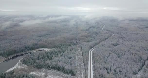 Luftaufnahme Des Waldes Nebel — Stockvideo