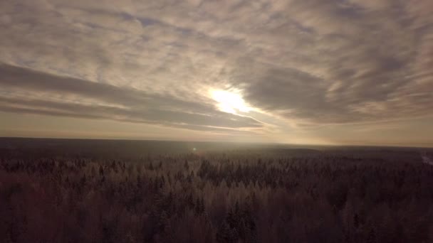 Kameran Flyger Över Skogen Bakgrunden Vacker Solnedgång — Stockvideo
