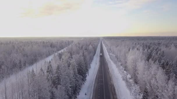 Вид Воздуха Зимнюю Лесную Дорогу Вид Сверху Воздуха Зимнее Вождение — стоковое видео