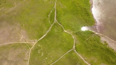 Güneşli bir yaz gününde göl / nehir üzerindeki bir tarlanın havadan görünüşü. Sahada bir patika var. Sahada yeşil çimenler var. Kuşlar tarlanın üzerinde uçar.