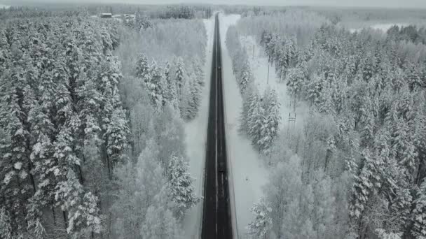 Luftaufnahme Der Landstraße Winter — Stockvideo
