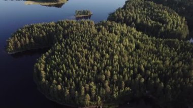 İskandinav doğasının havadan görünüşü. Ormanın ve göllerin üzerinde uçuyor. Ulusal Finlandiya parkı Koli