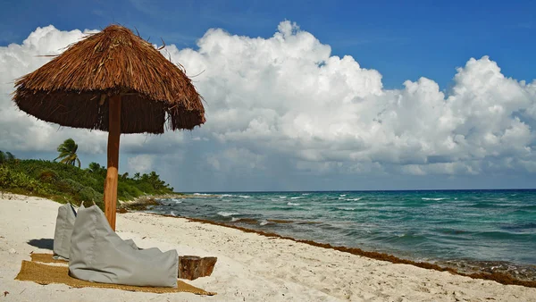 Palmiye ağacı kulübe Cancun plajında 