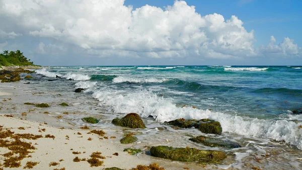 güzel Beach Cancun Meksika