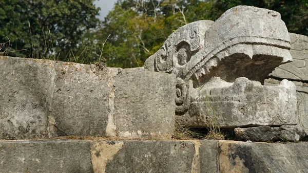 Stone snake head in the Yucatan — Stock Photo, Image