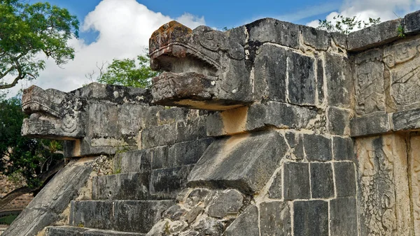 Snake stone head in the Yucatan jungle — Stock Photo, Image