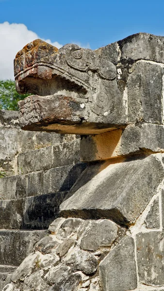 Cabeça de pedra de cobra na selva de Yucatan — Fotografia de Stock