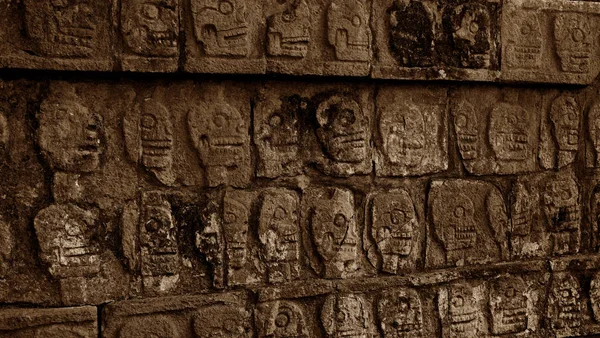 Skull carving on a wall in the Yucatan jungle — Stock Photo, Image